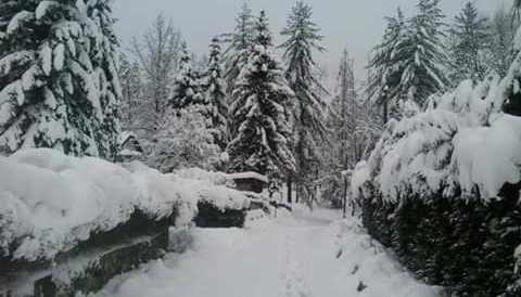 Kuća za odmor"Miran san" - Foto 3