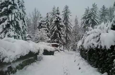 Kuća za odmor"Miran san" - Foto 3