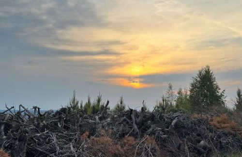 Apartment GNUBBEL am Wald - Foto 19