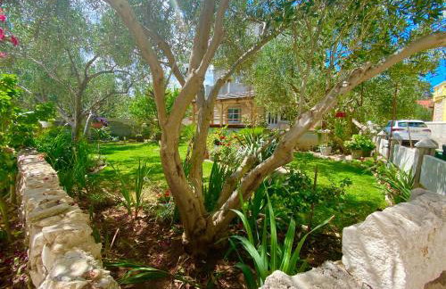 Apartman Ruzica - Photo 32