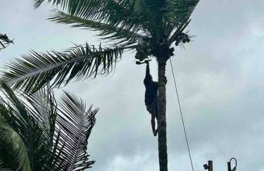 Casa à beira mar com piscina em Itamaracá - Foto 15