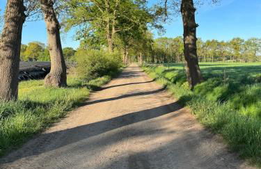 Ferienwohnung in saniertem Bauernhaus - Foto 13