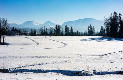 Jagodowa Osada - domki z balią z hydromasażem blisko term - Foto 56