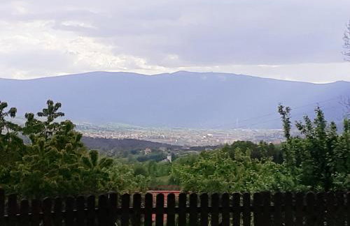 Agroturystyka Łysa Góra - Foto 64