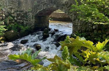 Beautiful Cottage Parking Central Dunster - Photo 35