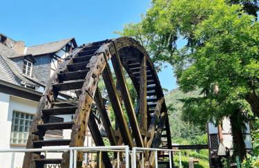 Wohnung mit Blick auf den Rheingrafenstein - Foto 15