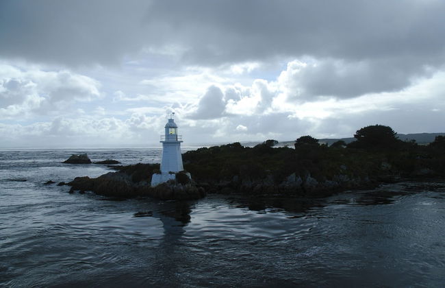 Strahan Bungalows - Photo 40