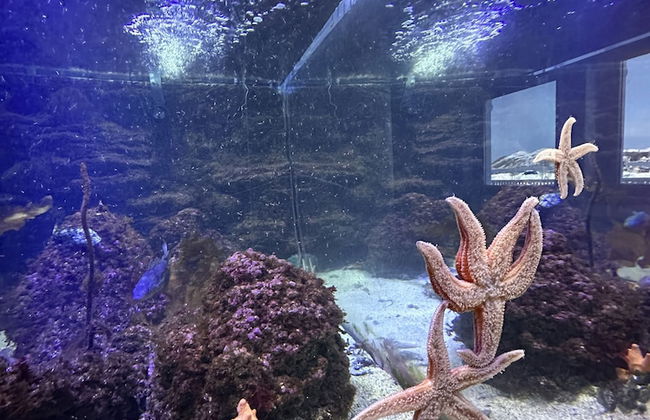 Norsk Havbrukssenter AS - Photo 52