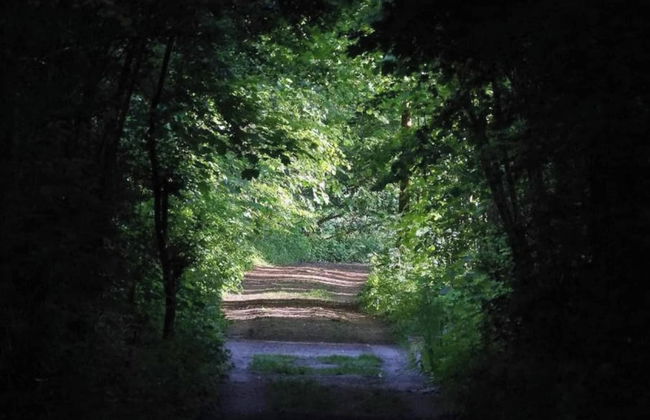 Farmhouse Retreat, Fernelmont - Foto 39