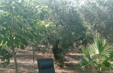 La Buganvilla, descanso entre olivares - Foto 12