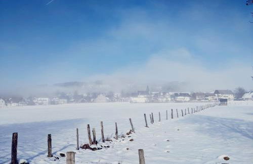 Große Ferienwohnung in Winterberg Hildfeld - Photo 19