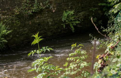 Hunters Cottage - Photo 16