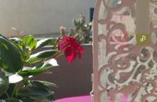 En Provence chez Valérie - Foto 13