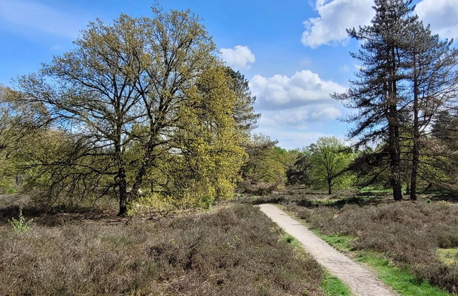 Villa in Overloon Near War Museum and Zoo - Foto 7