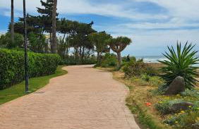 Hello Cosmo - Photo 22