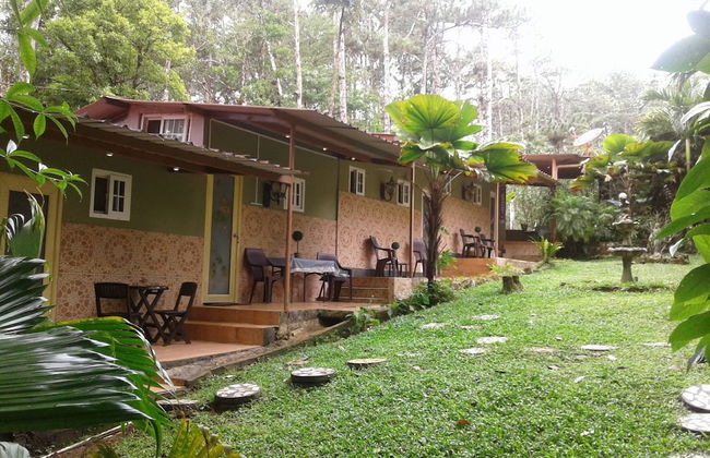 El Nido Cerro Azul - Foto 43