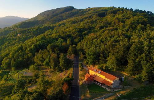 Terra Del Bosco Agriturismo - Foto 9