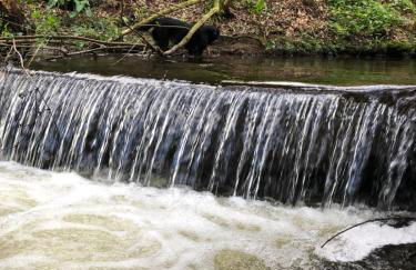 Le Courlis - Foto 18