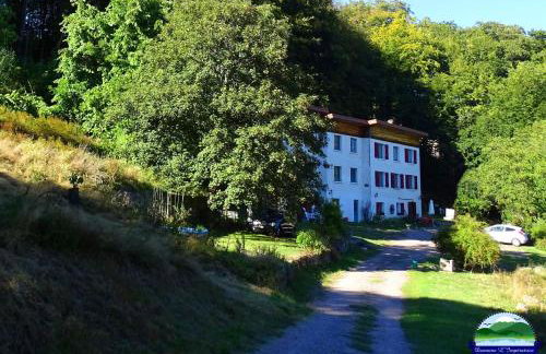 Domaine L'Impératrice - Foto 1