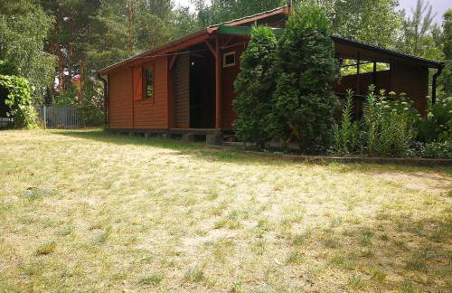 domki domek na jeziorem Wilczyńskim Budzisławskim , las, osobno ogrodzony 2-6 osób- klimatyzacja, ogrzewanie, 62-550 Zygmuntowo gm Wilczyn - Foto 1