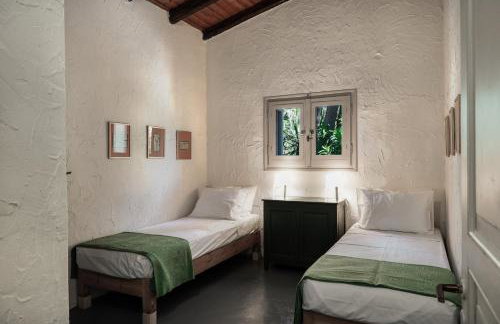 Dimoulitsa Villas Complex - Foto 36