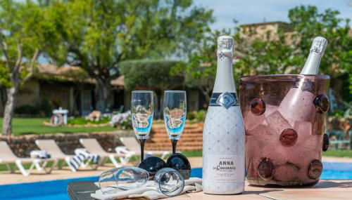 Finca RÚSTICA FELOSTAL Son Soleclau with Sauna & Pool - Foto 3