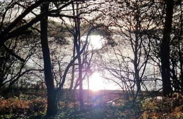 Maison dans un havre de paix - Foto 10