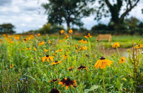 Andrus - Mayflower Meadow - Foto 29