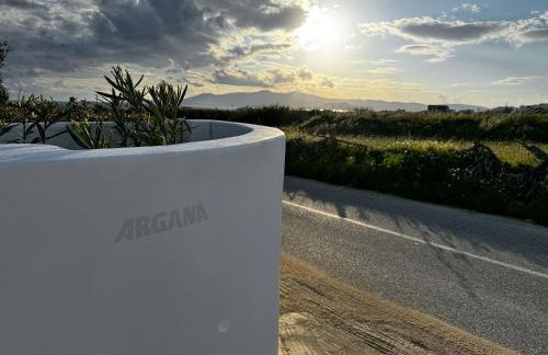 Argana Naxos private villa with pool and garden - Foto 27