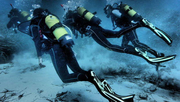 PADI Scuba Diving Course - Photo 2