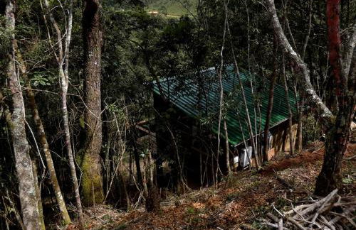 Reserva Jacarandá Cabanas - Foto 8