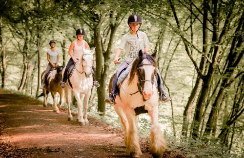 Nengshof Ferienhäuser Sonnenblume und Heublume - Foto 33