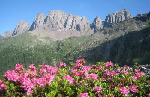 Casa Caterina - Foto 8