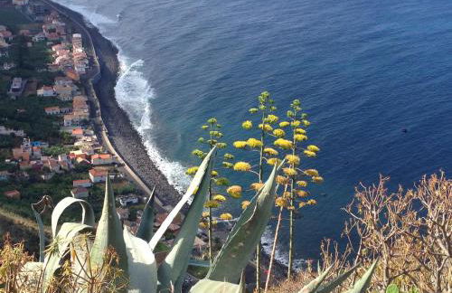 Blooming Botanic Houses - Foto 34