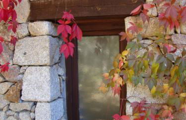 Casa Rurales Cimera y Brincalobitos - Photo 31