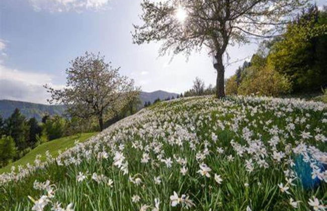 Majestic Apartment in Meribel-mottaret Close to Skiing - Foto 38