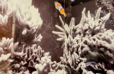 Apartamentos El Arrecife - Foto 79