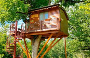 Casa sull'albero Bocchineri - Photo 6