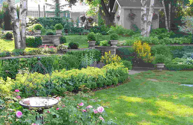 Sabores de Santa Lucía - Foto 6