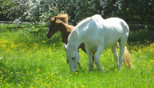 Holiday Home mit Terrasse und Parkplatz by Interhome - Foto 3
