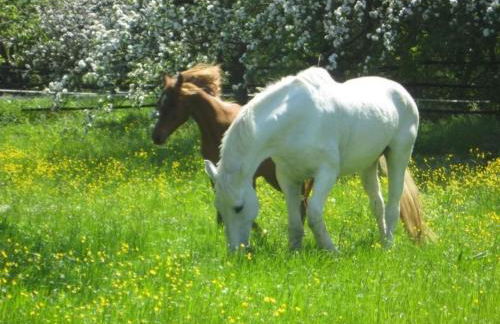 Holiday Home mit Terrasse und Parkplatz by Interhome - Foto 3