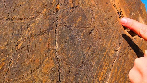 Cave Painting Hike in the Côa Valley - Foto 3