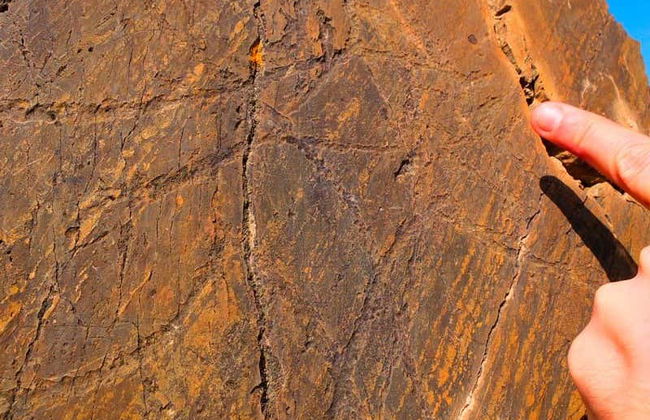 Cave Painting Hike in the Côa Valley - Foto 3