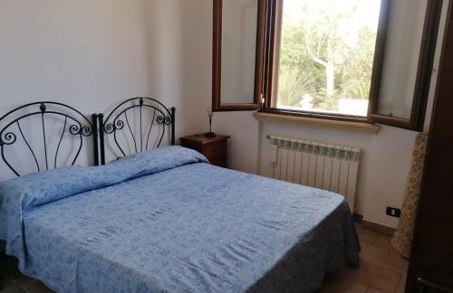 Villa in a lovely olive grove 10 minutes from the sea Ada residence - Foto 10