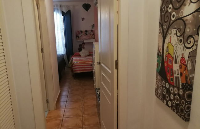 Velez Nazari - Photo 77