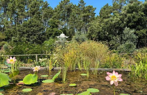 Charming Garden Retreat in Pedrogao Grande - Foto 35