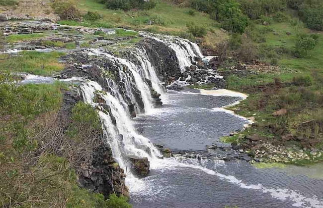 NRMA Warrnambool Riverside Holiday Park - Foto 56