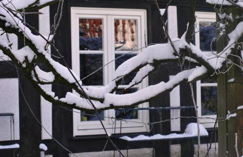 Lieblingsplatz - Foto 25