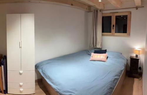 Face au MtBlanc avec jardin - Foto 6