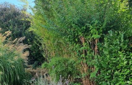 Ulli's Oase - Foto 10